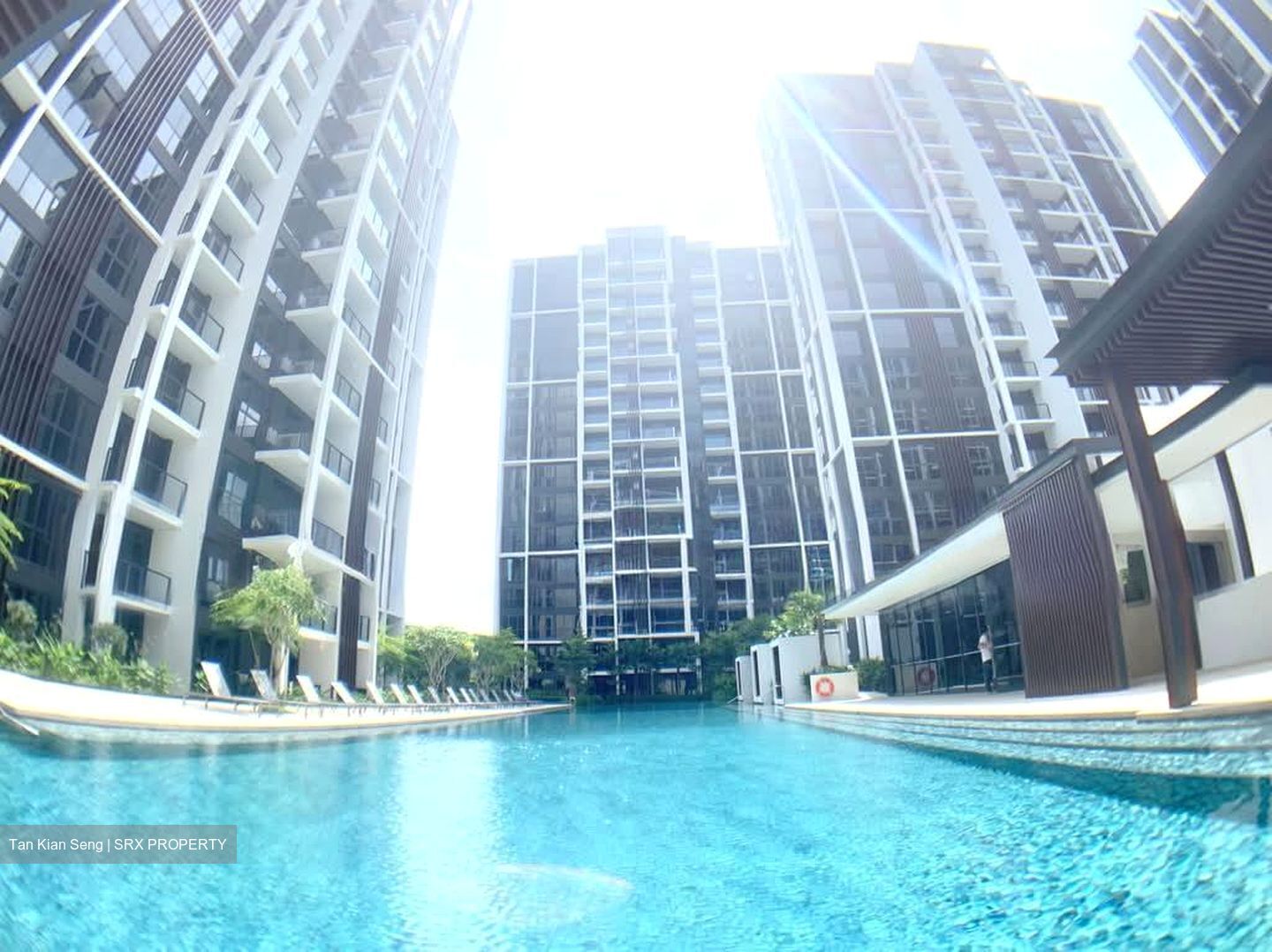 Botanique At Bartley (D19), Condominium #593661661